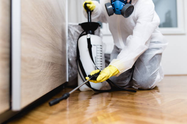 Best Pest Control Near Me  in Frankton, IN