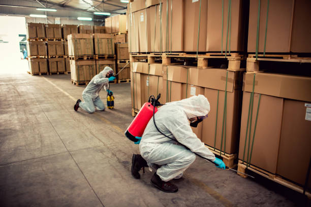 Best Bed Bug Extermination  in Frankton, IN