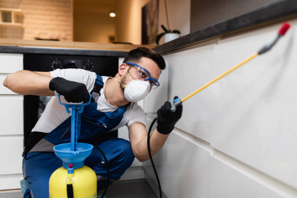 Trusted Frankton, IN Pest Control Experts