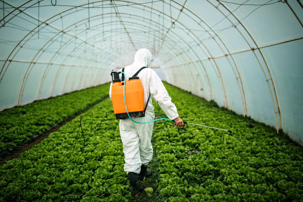 Best Best Pest Control Companies  in Frankton, IN
