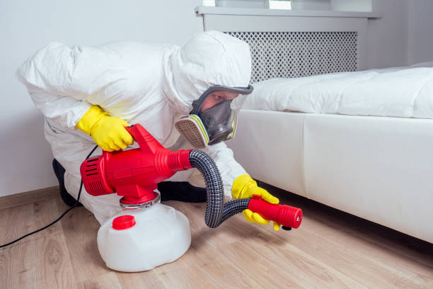 Best Affordable Pest Control Services  in Frankton, IN