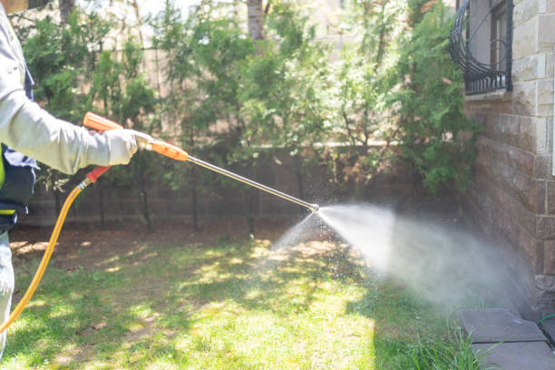 Best Termite Control Services  in Frankton, IN