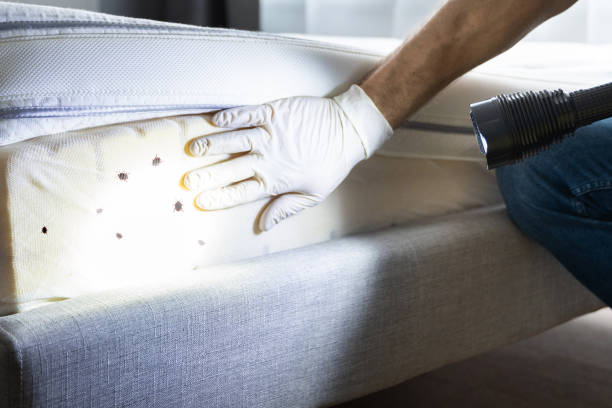 Best Commercial Pest Control Services  in Frankton, IN