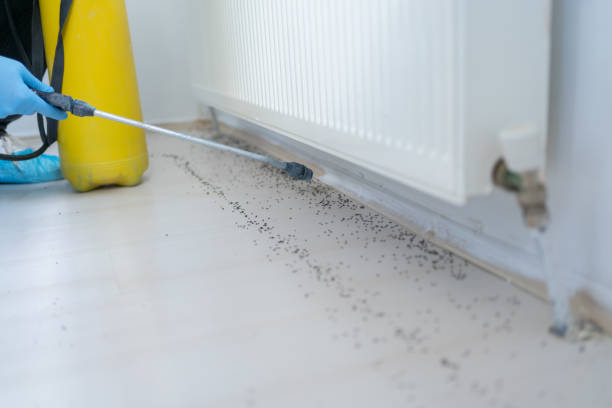 Best Cockroach Control Services  in Frankton, IN