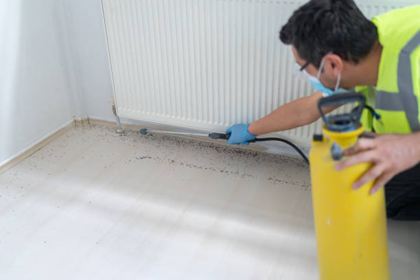 Best Pest Inspection Near Me  in Frankton, IN