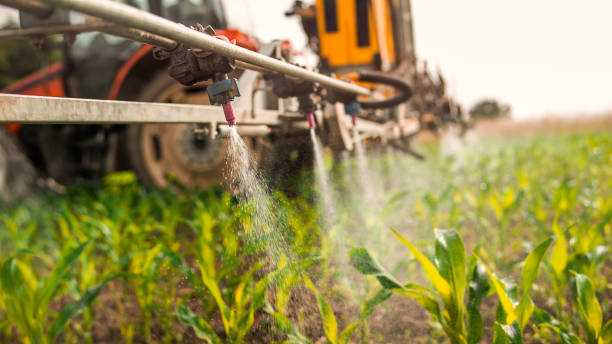Insect Control in Frankton, IN